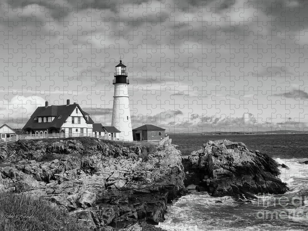 Lighthouse Jigsaw Puzzle featuring the photograph Guarding Ship Safety bw by Sue Karski