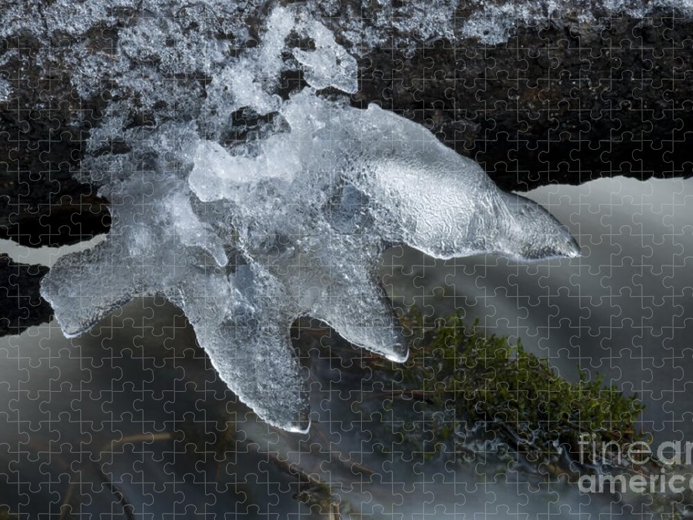 Ice Jigsaw Puzzle featuring the photograph Ice Claw by Bob Christopher