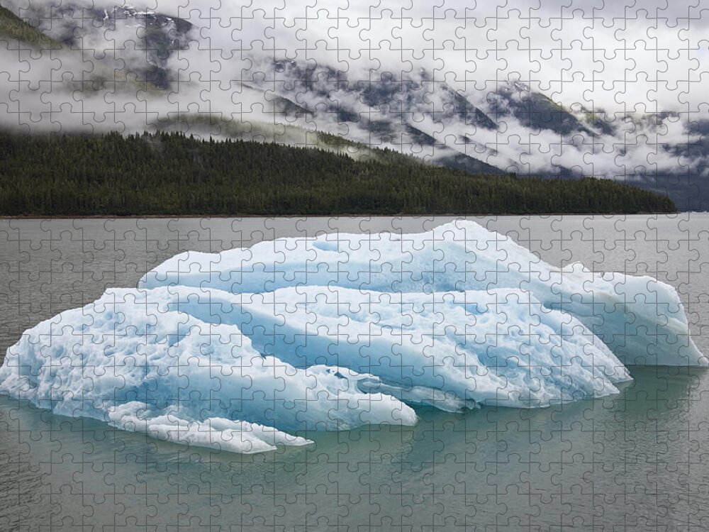 Mp Jigsaw Puzzle featuring the photograph Iceberg In Endicott Arm, Inside by Konrad Wothe
