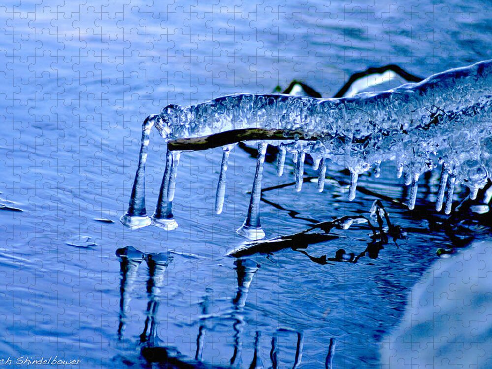 Ice Jigsaw Puzzle featuring the photograph Icy Reflections by Mitch Shindelbower
