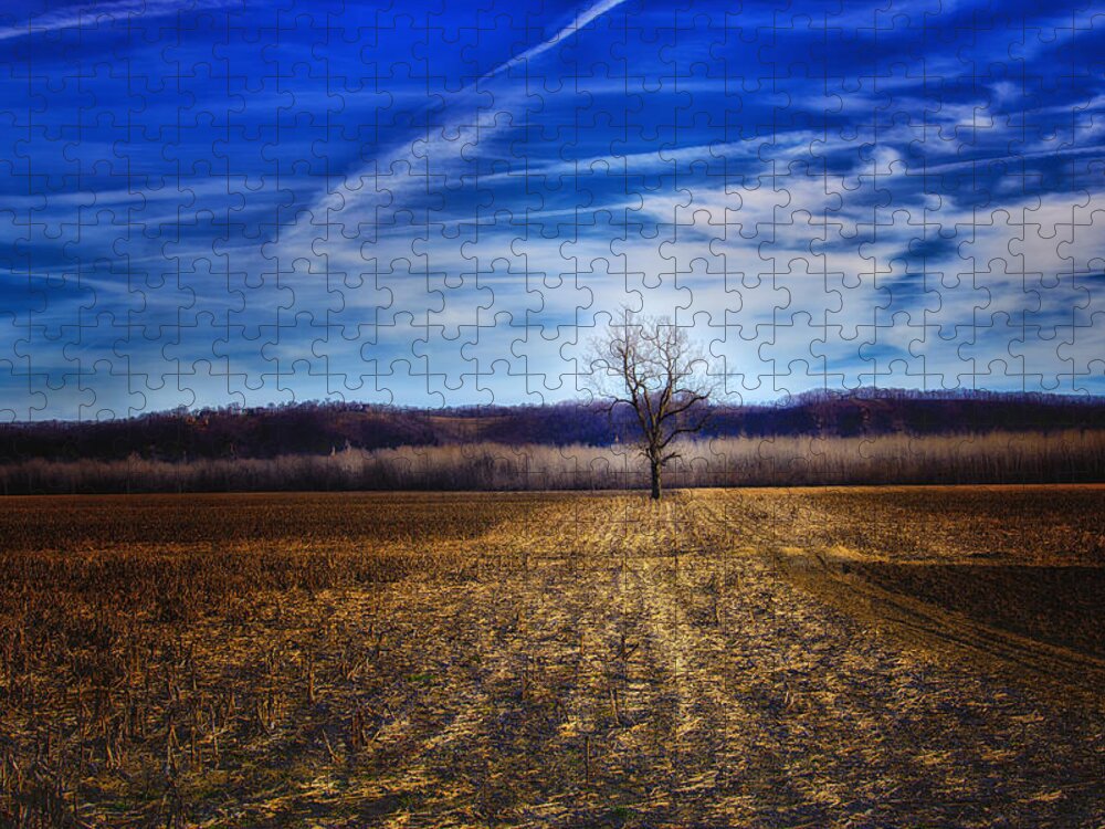 Field Jigsaw Puzzle featuring the photograph Illuminated Tree by Bill and Linda Tiepelman