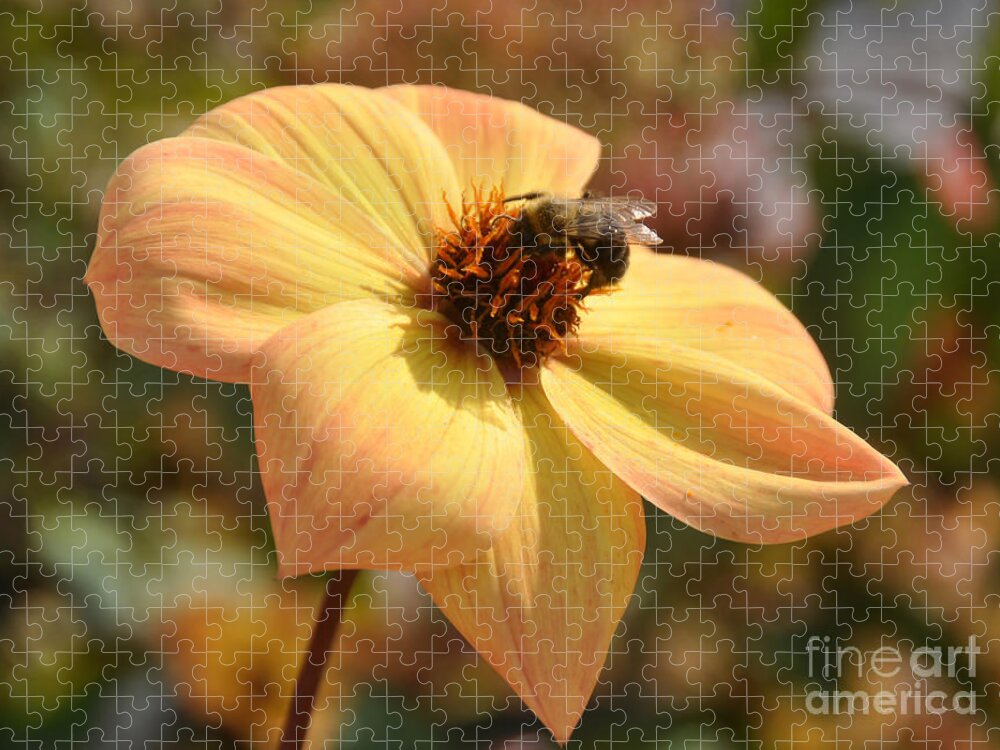 Bee Jigsaw Puzzle featuring the photograph Im Just So Busy  Winter Is Coming Soon by Elaine Manley