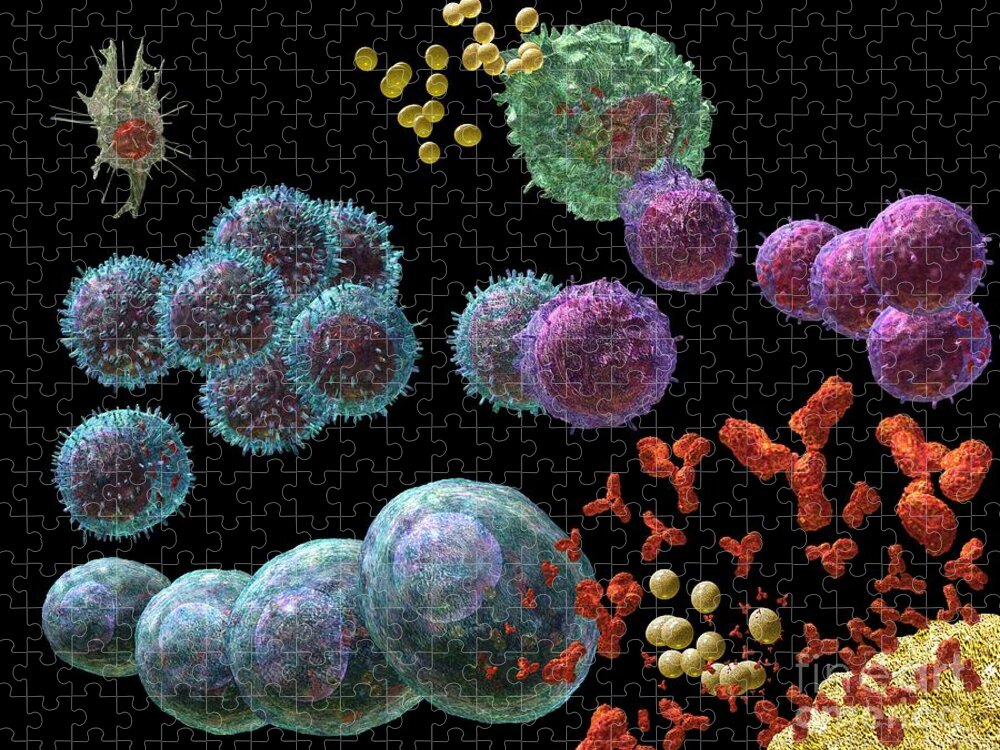 Antibodies Jigsaw Puzzle featuring the digital art Immune Response Antibody 2 by Russell Kightley