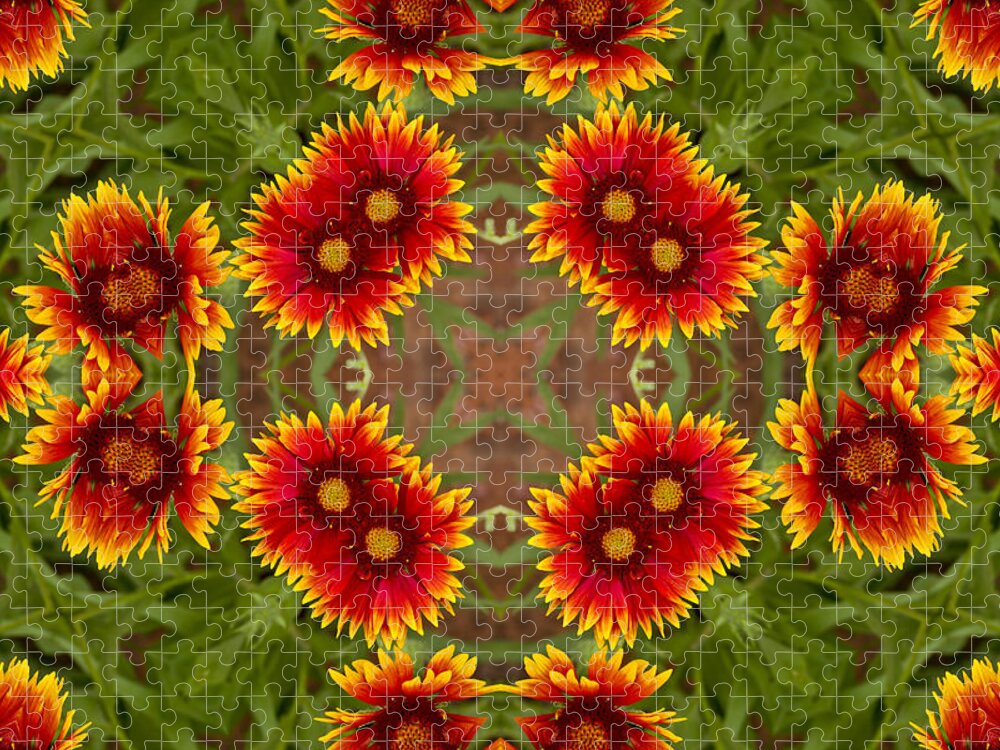 Kaleidoscope Jigsaw Puzzle featuring the photograph Indian Blanket Flower - Kaleidoscope by Bill Barber