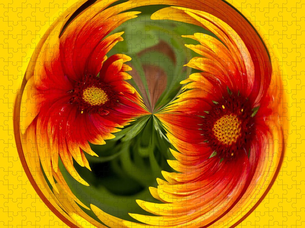 Orb Jigsaw Puzzle featuring the photograph Indian Blanket Flower Orb by Bill Barber
