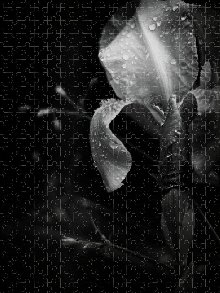 black And White Jigsaw Puzzle featuring the photograph Iris Adorned by Rebecca Sherman