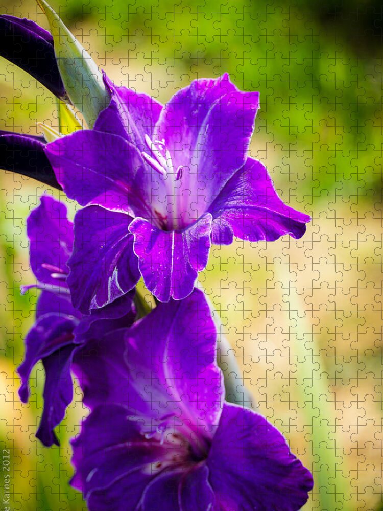 Purple Jigsaw Puzzle featuring the photograph Iris by Debbie Karnes