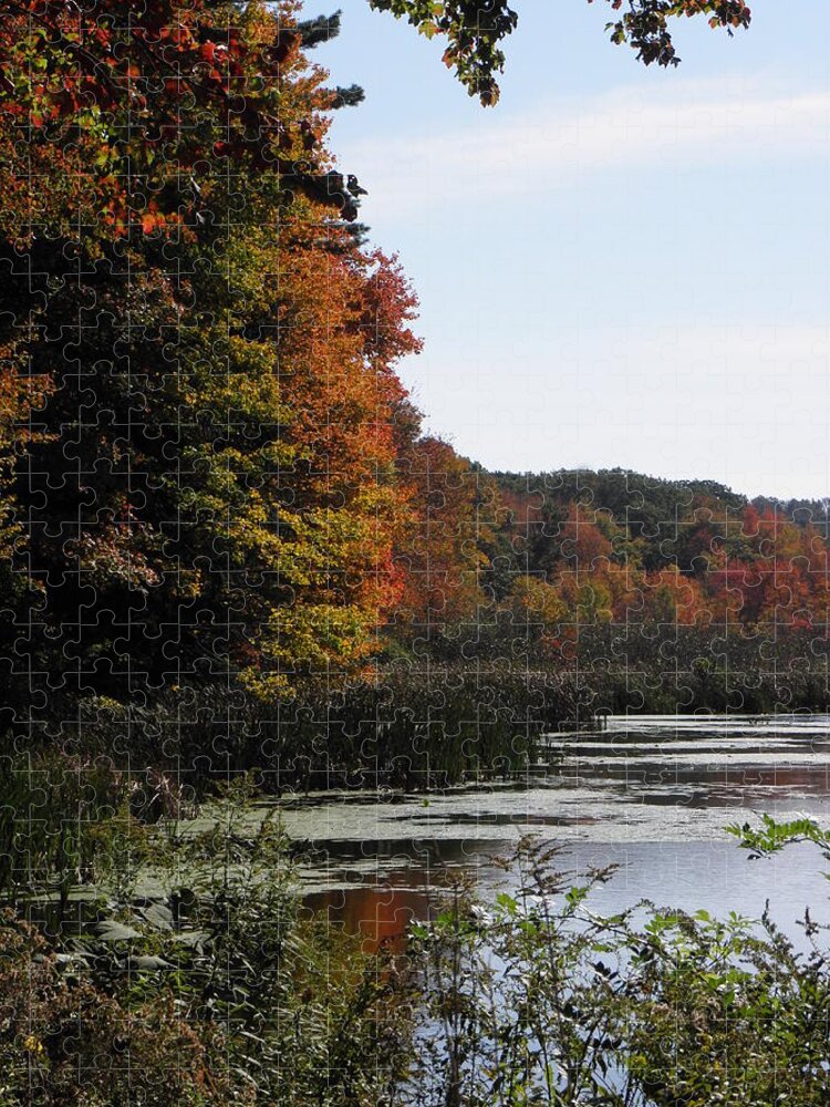 Autumn Jigsaw Puzzle featuring the photograph Just simple Beauty by Kim Galluzzo