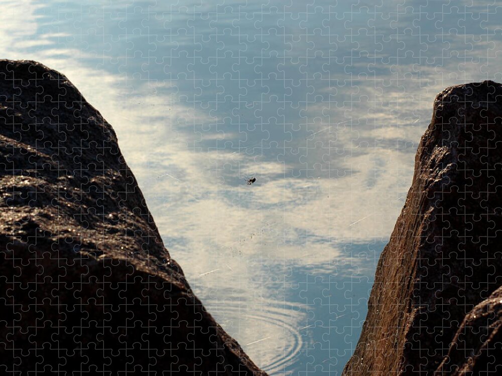 Usa Jigsaw Puzzle featuring the photograph Lake Water Spider web by LeeAnn McLaneGoetz McLaneGoetzStudioLLCcom