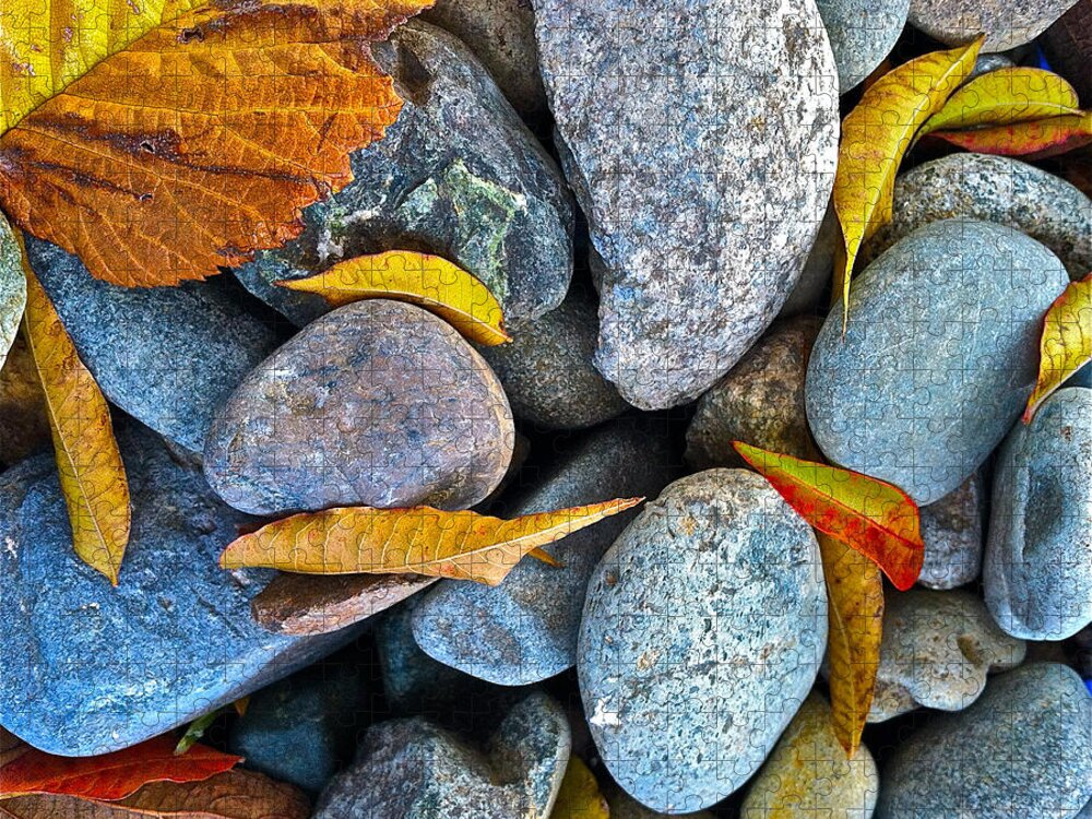 Nature Jigsaw Puzzle featuring the photograph Leaves And Rocks by Bill Owen