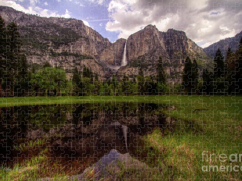Cooks Meadow Jigsaw Puzzle featuring the photograph Majestic Reflections by Sue Karski