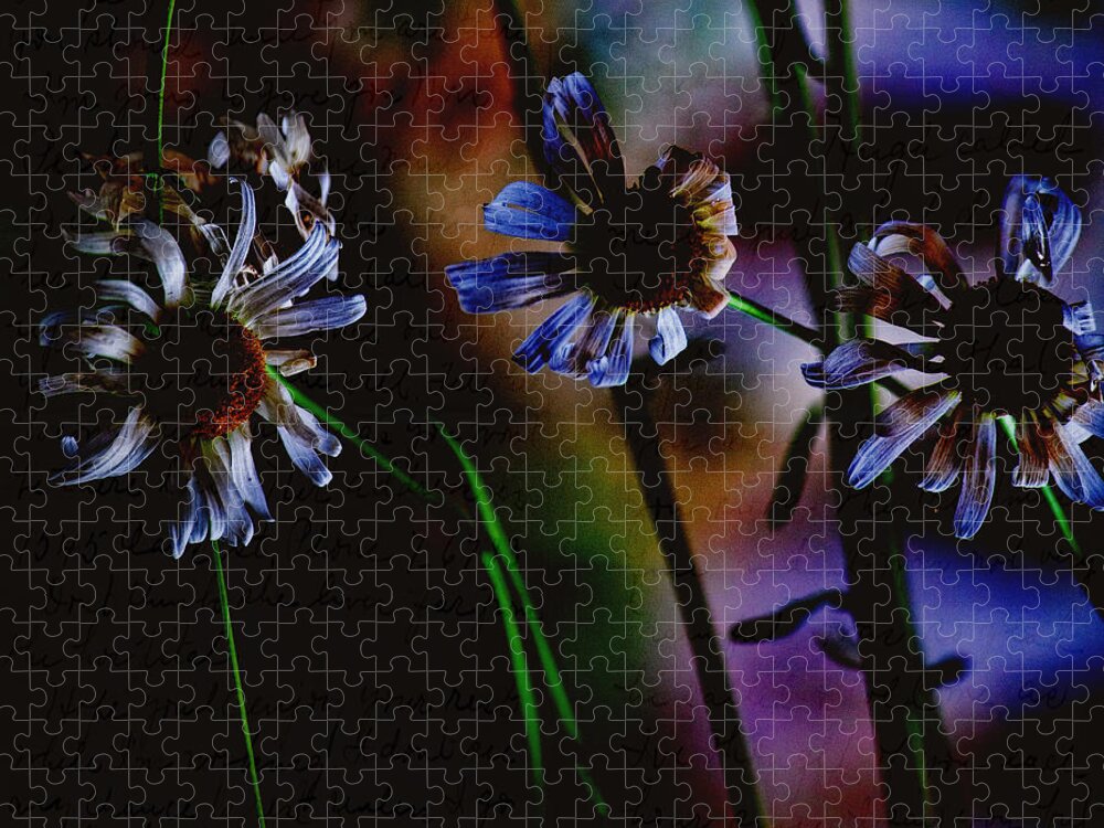 Nature Jigsaw Puzzle featuring the photograph Memory Garden by Bonnie Bruno