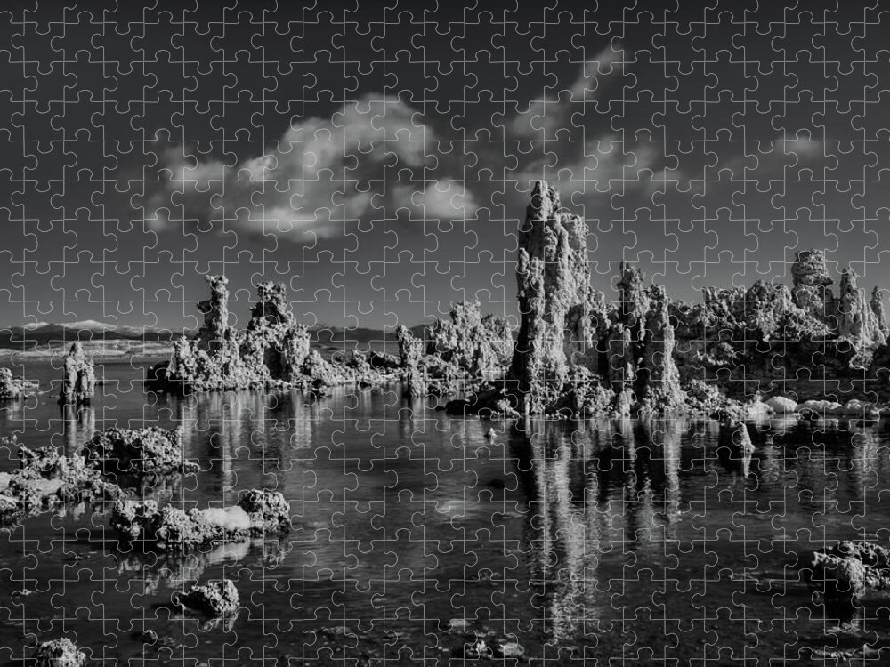 Black And Whilte Jigsaw Puzzle featuring the photograph Mono Lake by Beth Sargent