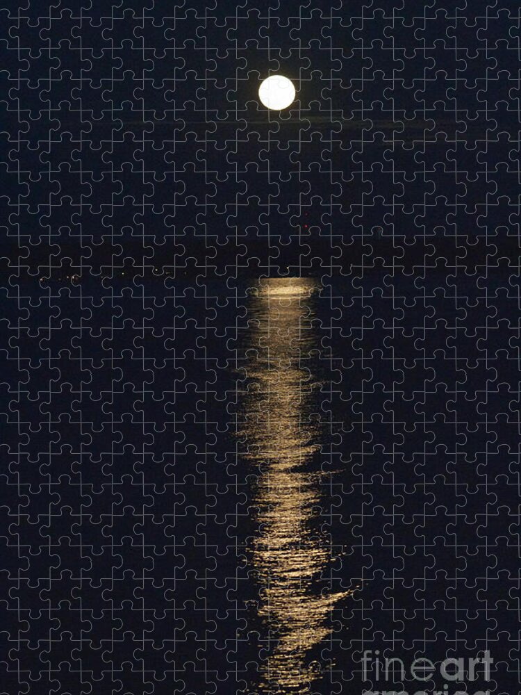 Moon Jigsaw Puzzle featuring the photograph Moon over Seneca Lake by William Norton