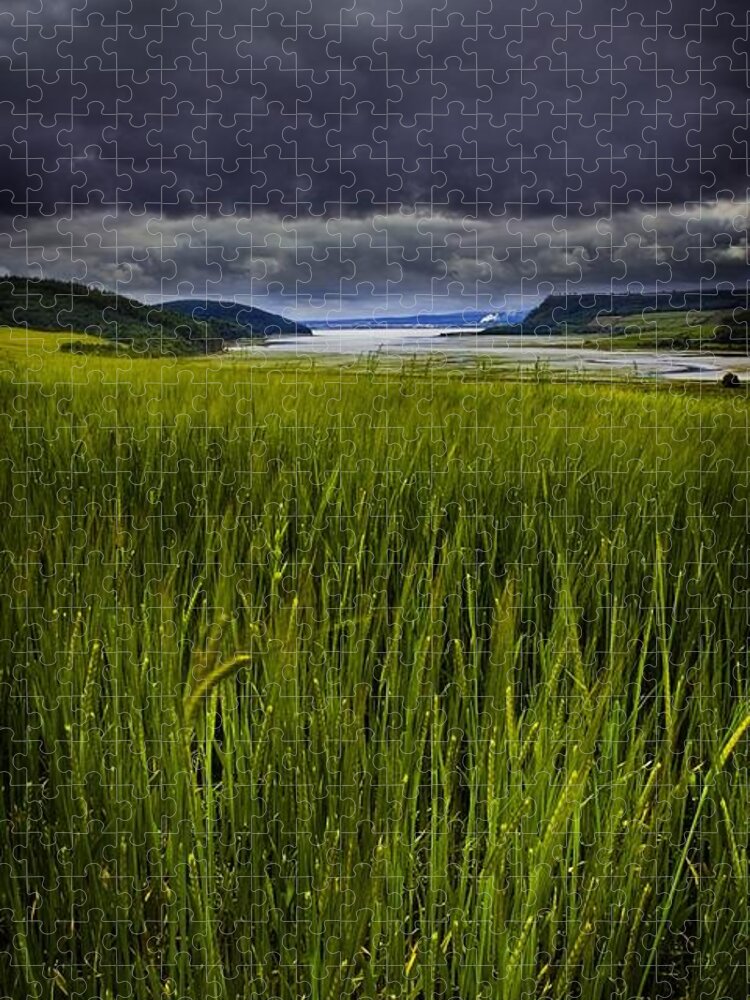 Munlochy Bay Jigsaw Puzzle featuring the photograph Munlochy bay by Joe Macrae