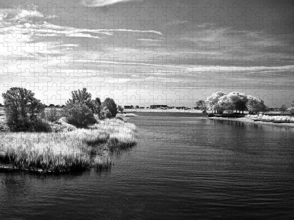 Inlet Jigsaw Puzzle featuring the photograph Murrells Inlet - Infrared by Bill Barber