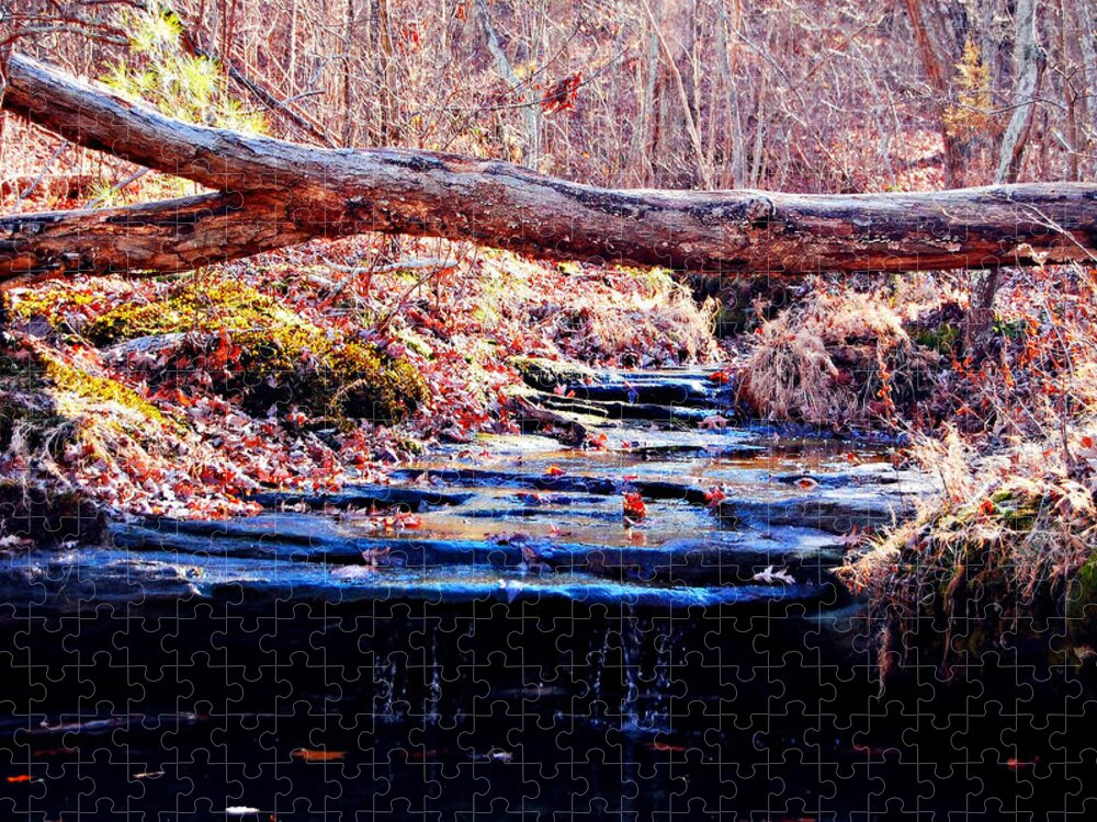 Landscape Jigsaw Puzzle featuring the photograph Natural Spring Beauty by Peggy Franz