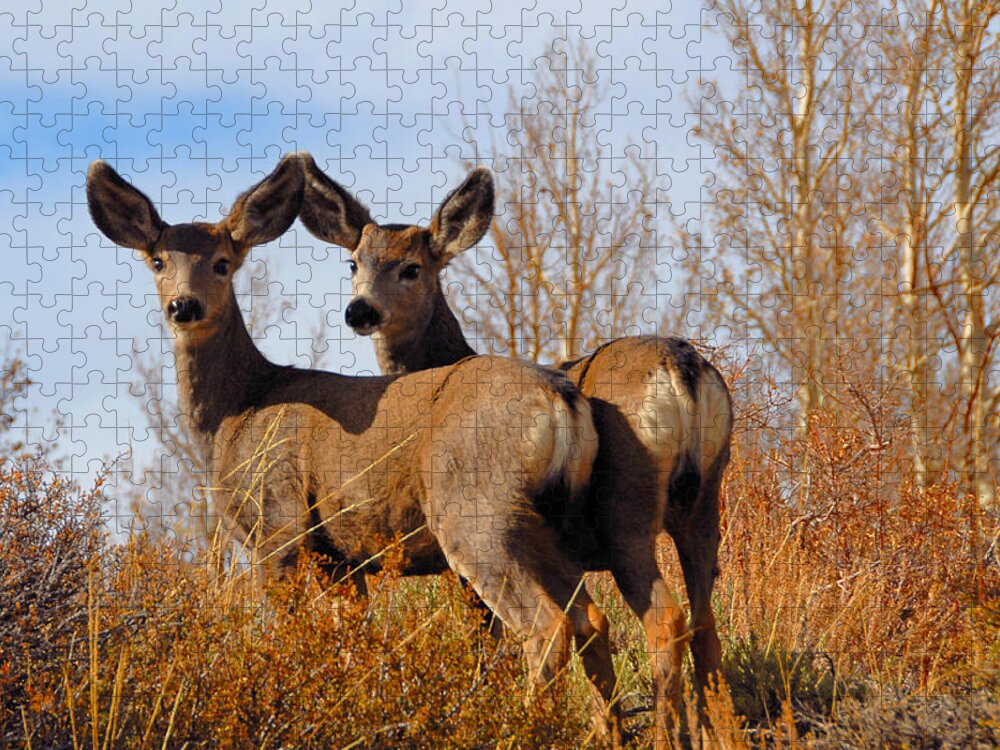 Deer Jigsaw Puzzle featuring the photograph Nature's Gentle Beauties by Lynn Bauer