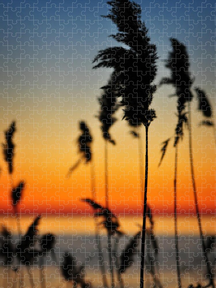 Sunrise Jigsaw Puzzle featuring the photograph New Day by Rebecca Sherman