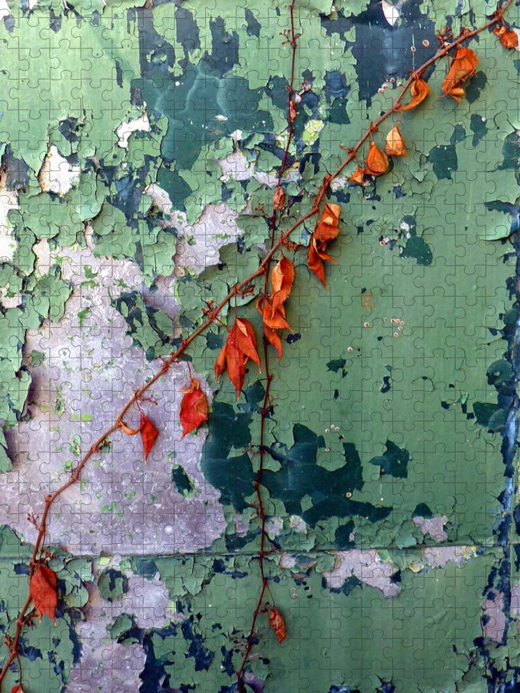 Orange Jigsaw Puzzle featuring the photograph Orange Vine on Peeling Green Door by Carla Parris