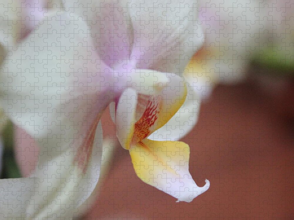 Art Jigsaw Puzzle featuring the photograph Orchid II by Kelly Hazel