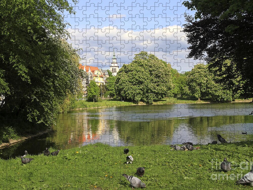 Park Jigsaw Puzzle featuring the photograph Picturesque City Scene by Teresa Zieba
