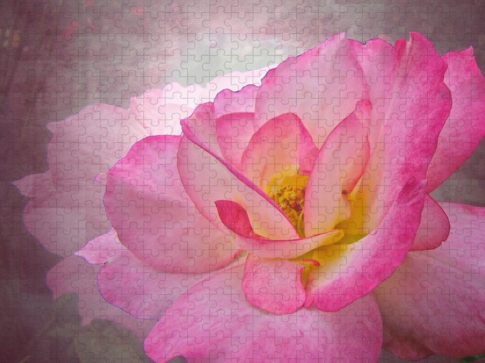 Rose Jigsaw Puzzle featuring the photograph Pink Victorian Rose by Carol Senske