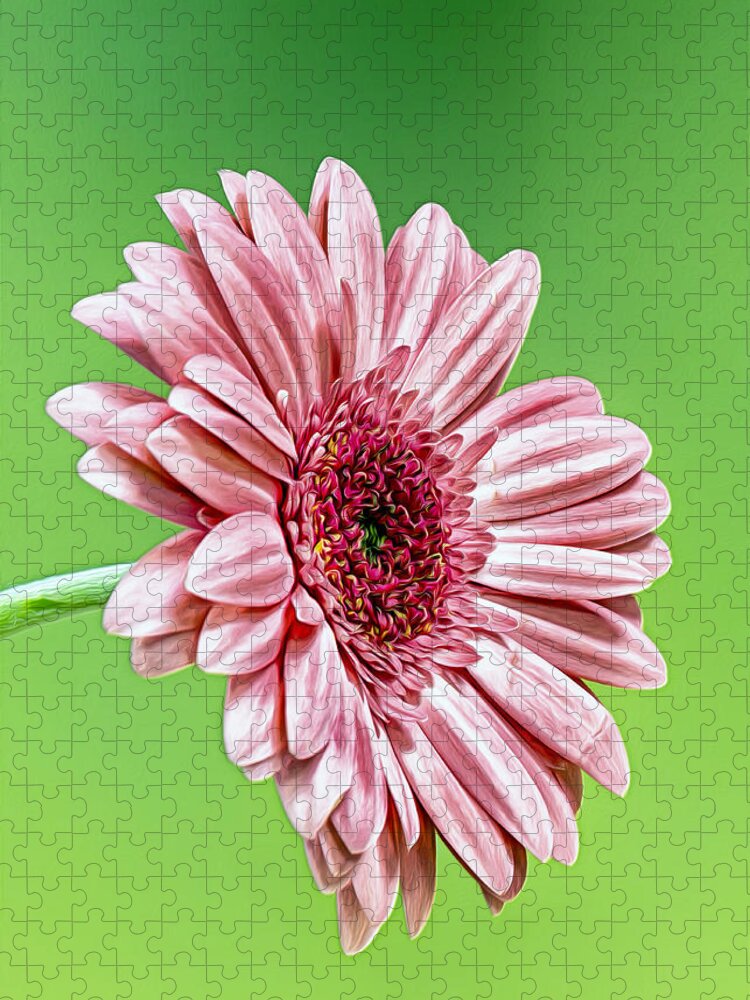 Daisy Jigsaw Puzzle featuring the photograph Pinky On Lime by Bill and Linda Tiepelman