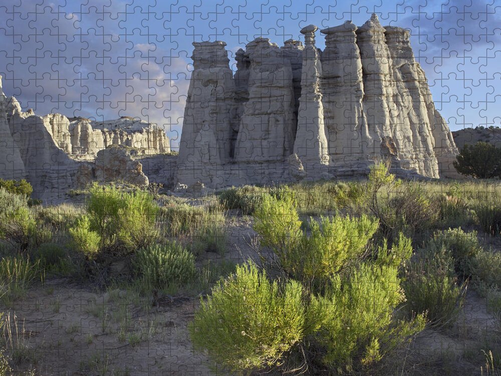 00176884 Jigsaw Puzzle featuring the photograph Plaza Blanca Near Abiquiu New Mexico by Tim Fitzharris