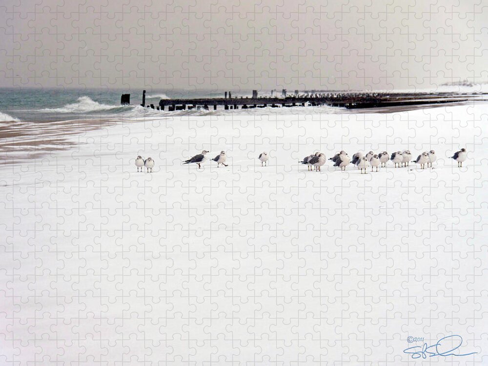 Gulls Jigsaw Puzzle featuring the photograph Polar Bird Club by S Paul Sahm