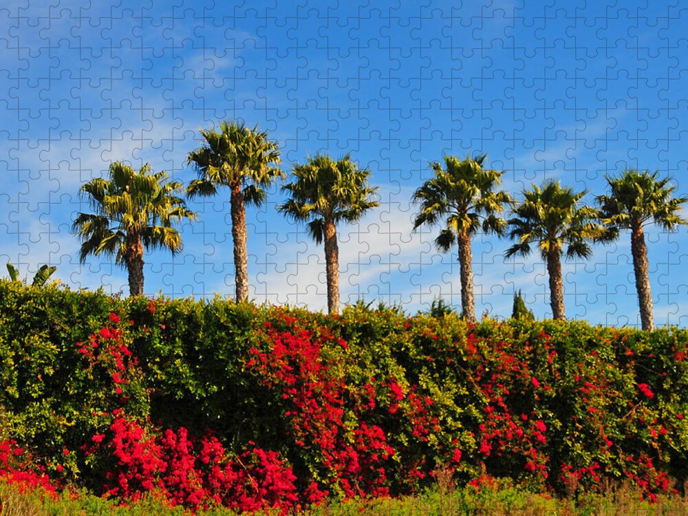 Pt Dume Jigsaw Puzzle featuring the photograph Pt. Dume Palms by Lynn Bauer