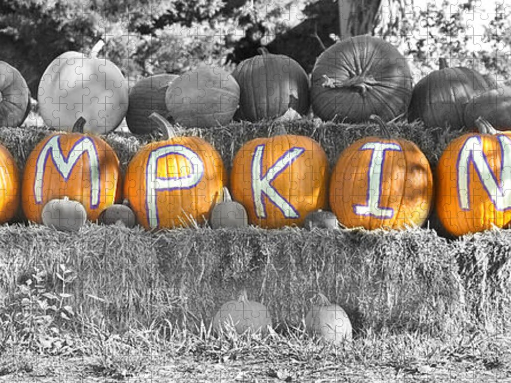 Pumpkins Jigsaw Puzzle featuring the photograph Pumpkins P U M P K I N S BWSC by James BO Insogna