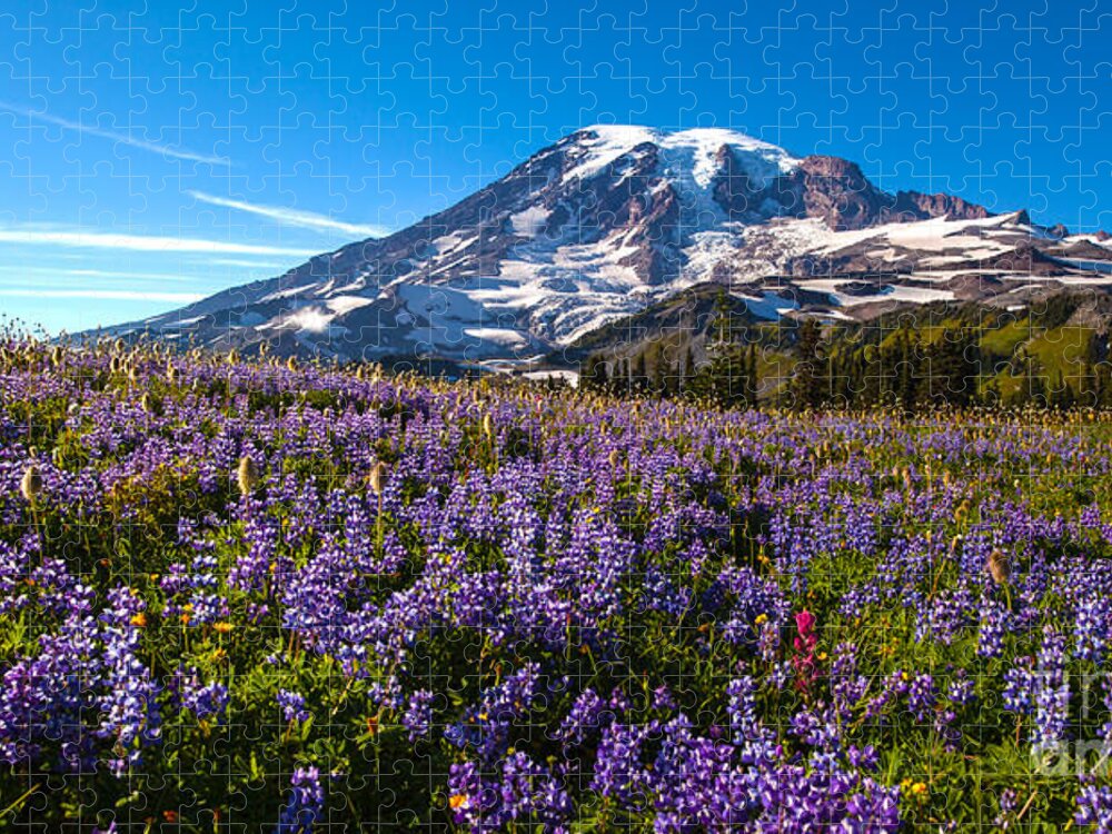 Mount Rainier Jigsaw Puzzle featuring the photograph Purple Fields Forever by Mike Reid