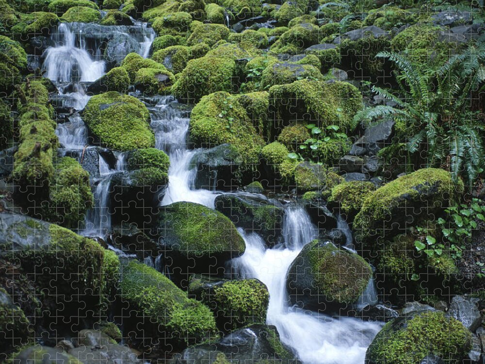 Rainforest Jigsaw Puzzle featuring the photograph Rain Forest Stream by Sandra Bronstein