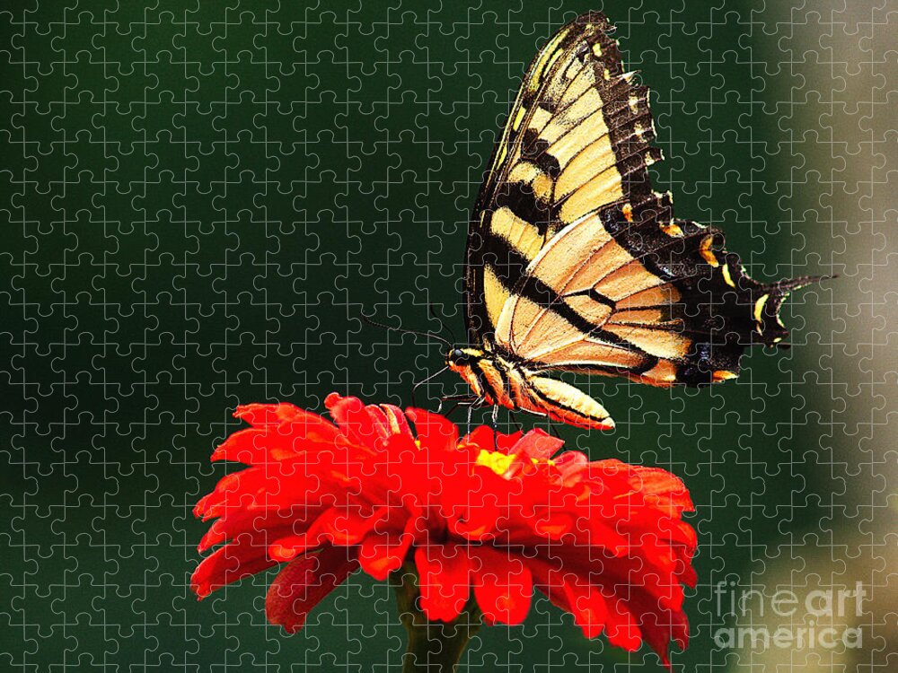 Bug Jigsaw Puzzle featuring the photograph Red Flower and Butterfly by Nick Zelinsky Jr