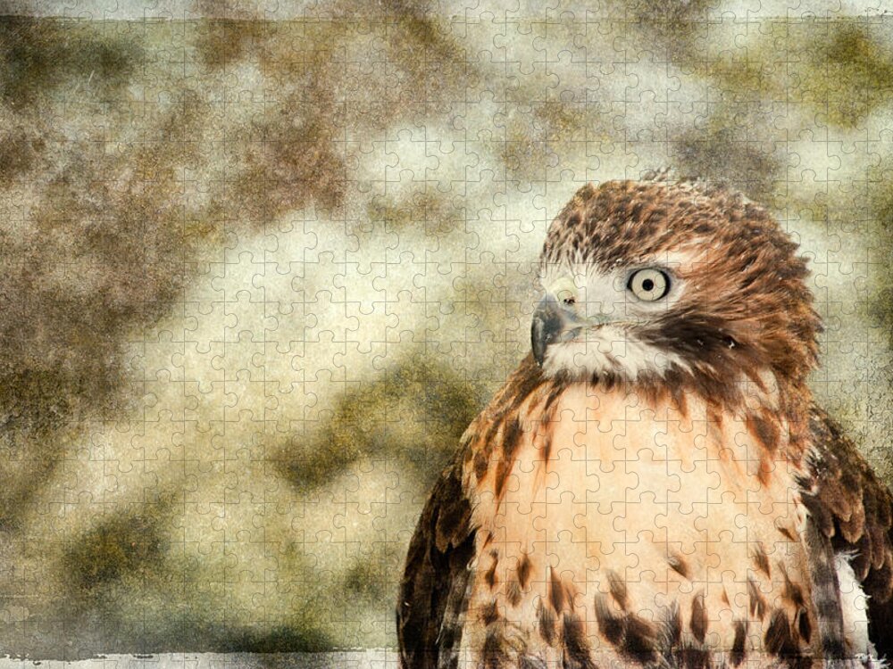 Accipitridae Jigsaw Puzzle featuring the photograph Red Tail by Joye Ardyn Durham
