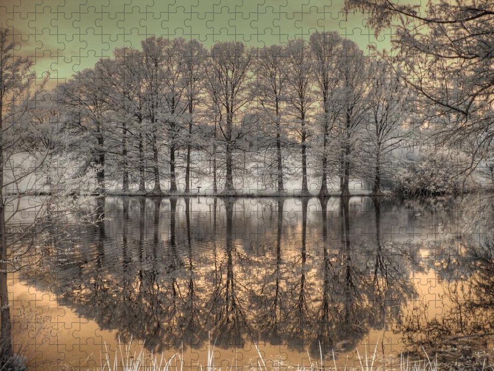 Landscape Jigsaw Puzzle featuring the photograph Reflections by Jane Linders