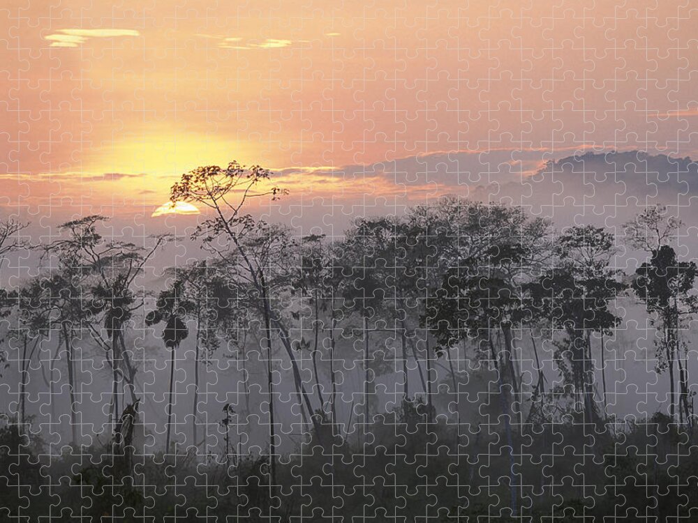 Mp Jigsaw Puzzle featuring the photograph River Edge At Dawn, Lower Urubamba by Pete Oxford