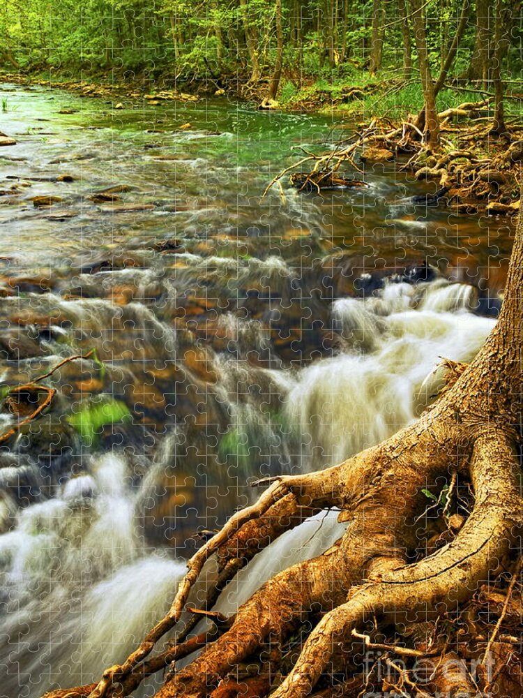 Water Jigsaw Puzzle featuring the photograph River rapids 4 by Elena Elisseeva