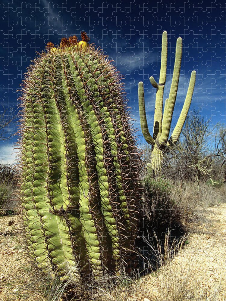 Mp Jigsaw Puzzle featuring the photograph Saguaro Carnegiea Gigantea by Gerry Ellis