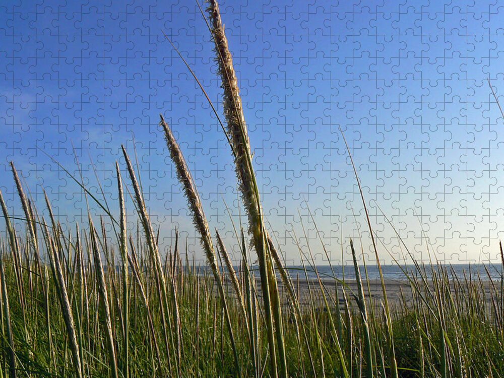 Sand Dune Grass Jigsaw Puzzle featuring the photograph Sand Dune Grasses by Pamela Patch