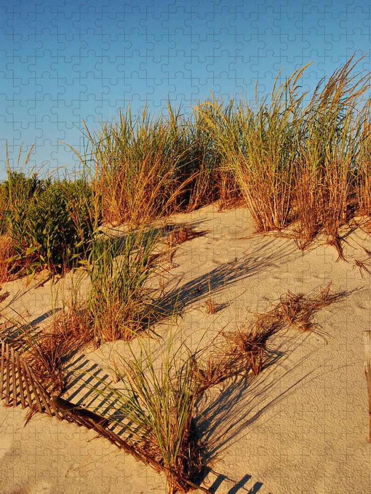 Jersey Shore Jigsaw Puzzle featuring the photograph Sand Dune II - Jersey Shore by Angie Tirado