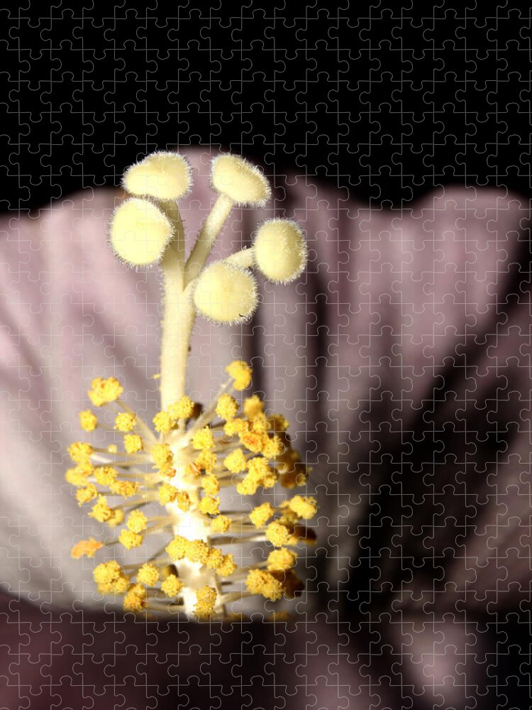 Nature Jigsaw Puzzle featuring the photograph Saucer Hibiscus 4 by Robert Morin