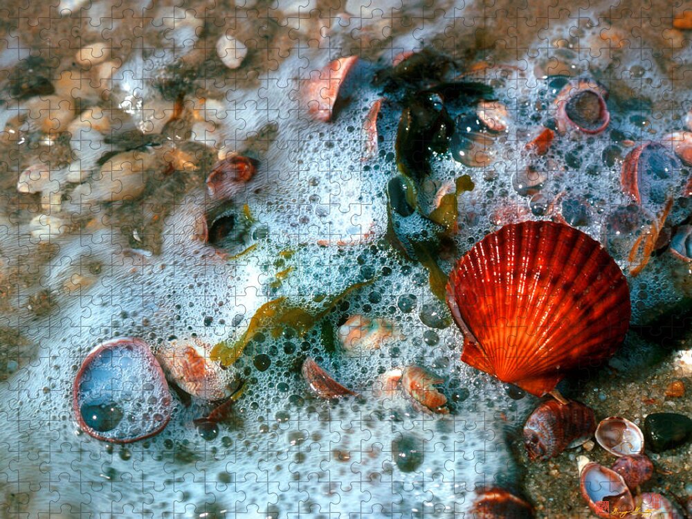 Nature Jigsaw Puzzle featuring the photograph Scallop and Seaweed 11C by Gerry Gantt