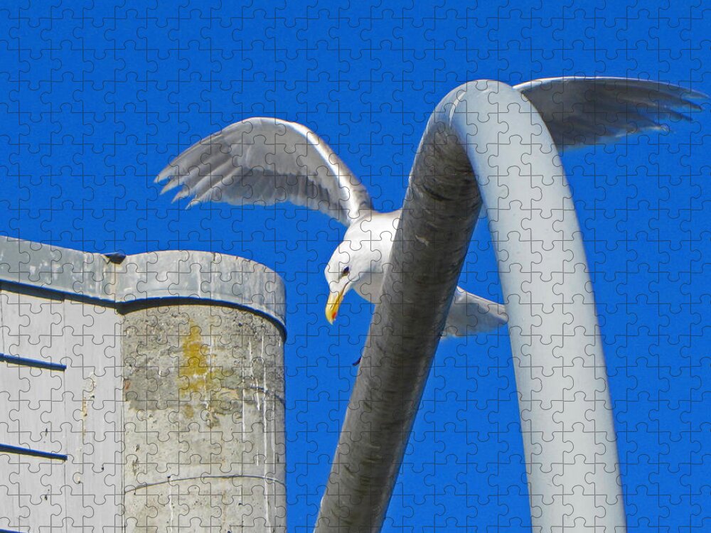 Blue Jigsaw Puzzle featuring the photograph Seagull Arches by Tikvah's Hope