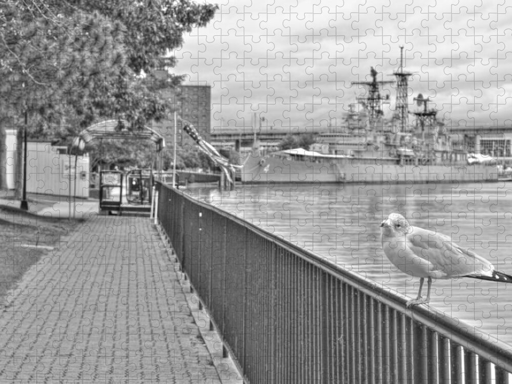  Jigsaw Puzzle featuring the photograph Seagull at the Naval and Military Park by Michael Frank Jr
