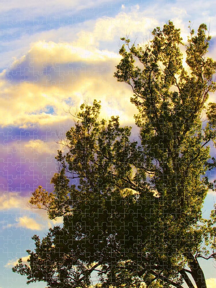 Tree Jigsaw Puzzle featuring the photograph Skies Beyond The Tree by Bill and Linda Tiepelman