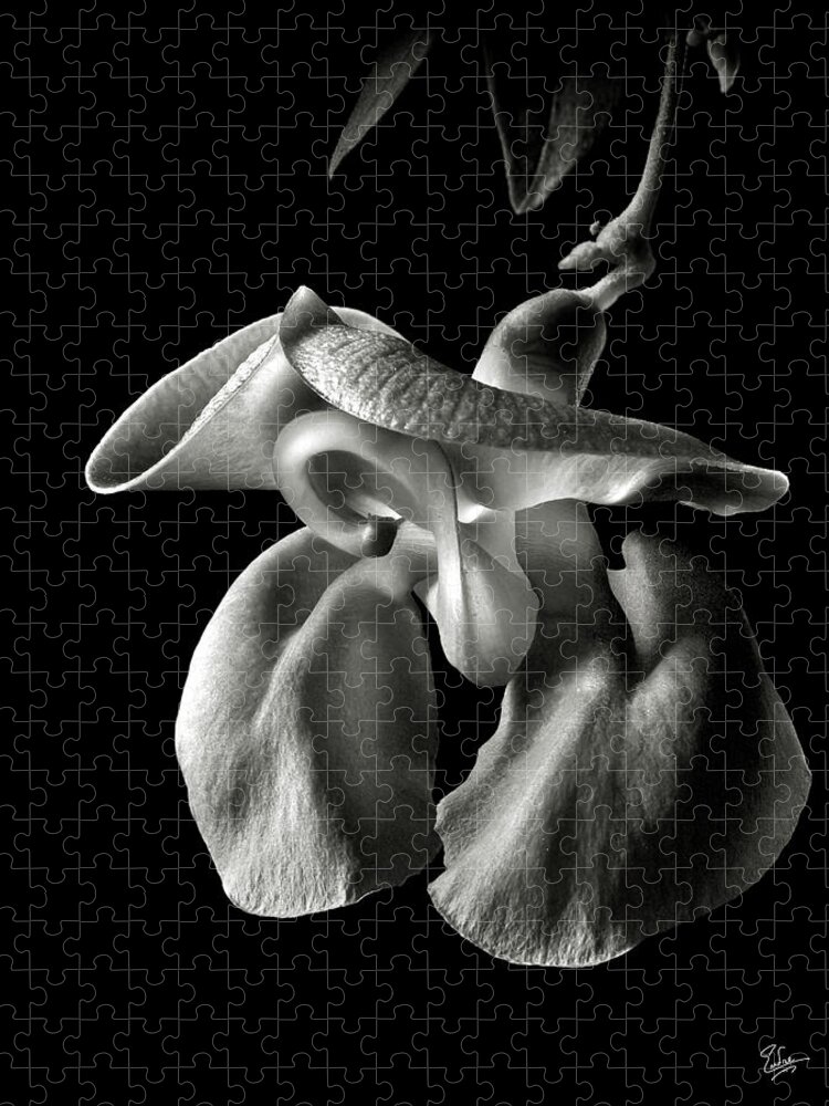 Flower Jigsaw Puzzle featuring the photograph Snail Flower in Black and White by Endre Balogh