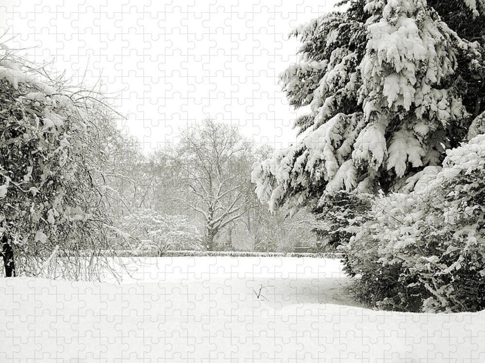 Lenny Carter Jigsaw Puzzle featuring the photograph Snow packed Park by Lenny Carter