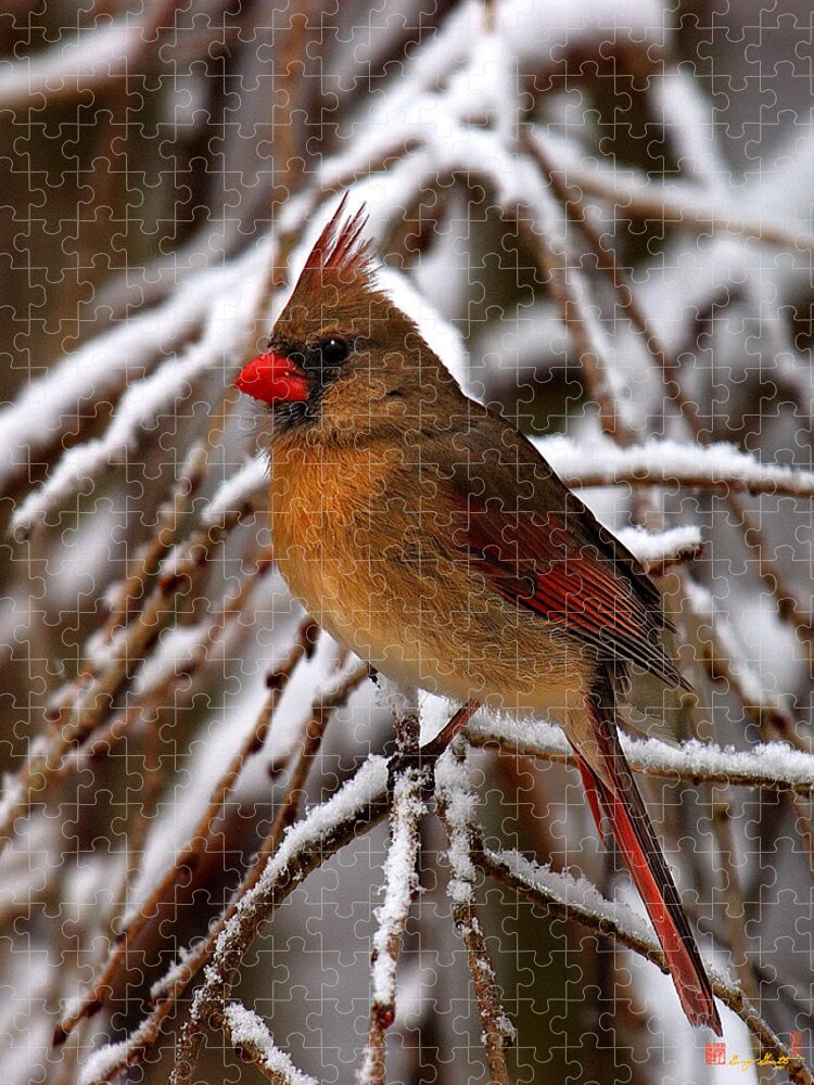 Nature Jigsaw Puzzle featuring the photograph Snowbirds--Cardinal DSB025 by Gerry Gantt